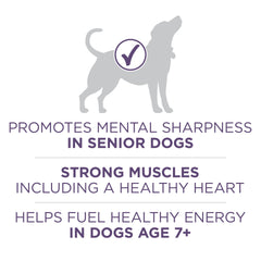 Purina ONE MCT-rich oil splash fuels mental focus during meals.