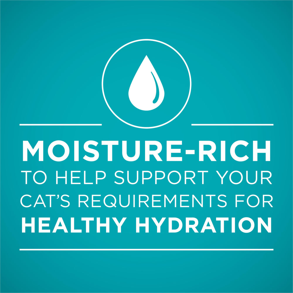 Purina ONE moisture rich gravy formula supports hydration during meals