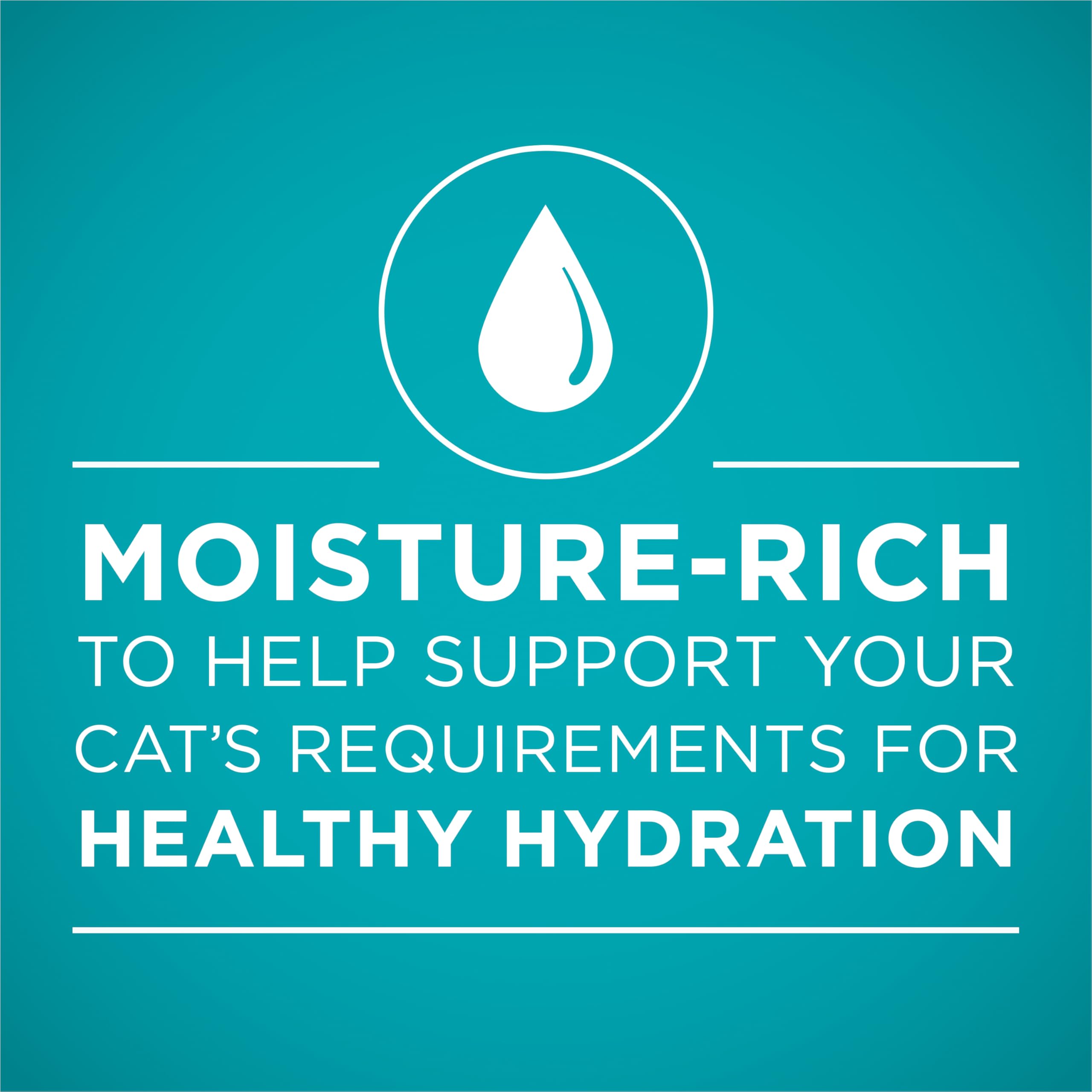 Purina ONE moisture-rich wet cat food designed for hydration.