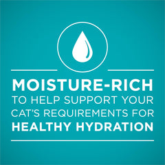 Purina ONE moisture-rich wet cat food designed for hydration.
