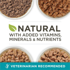 Purina ONE Salmon Trout Sauce: omega-rich flavor for balanced meals.