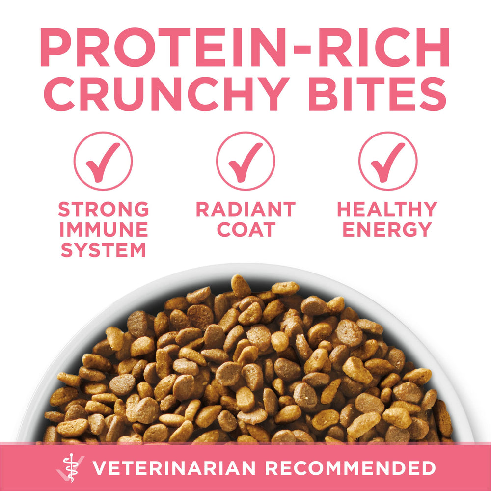 Purina ONE natural ingredients no-artificial-flavors close-up