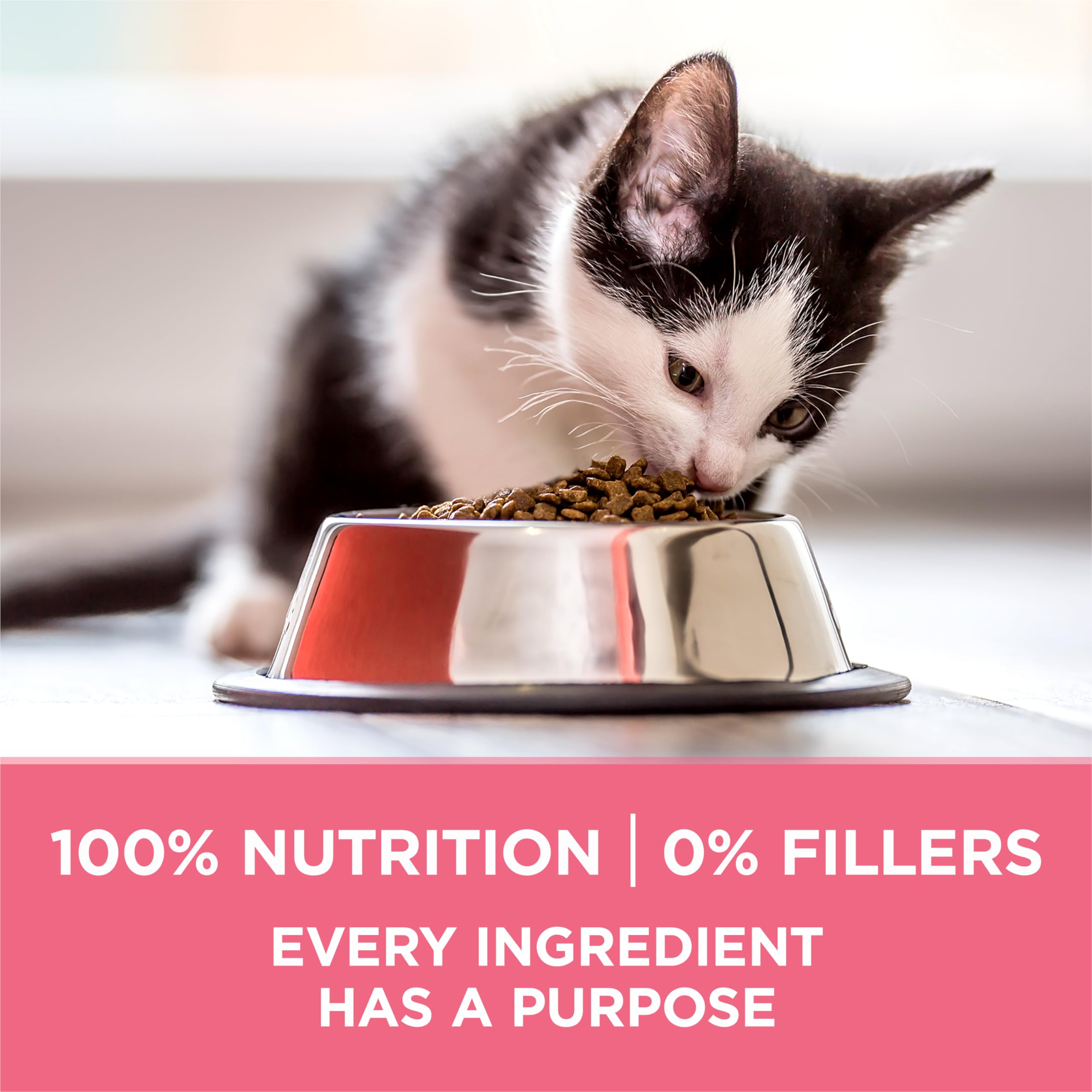 Purina ONE natural preservative-free formula without artificial flavors