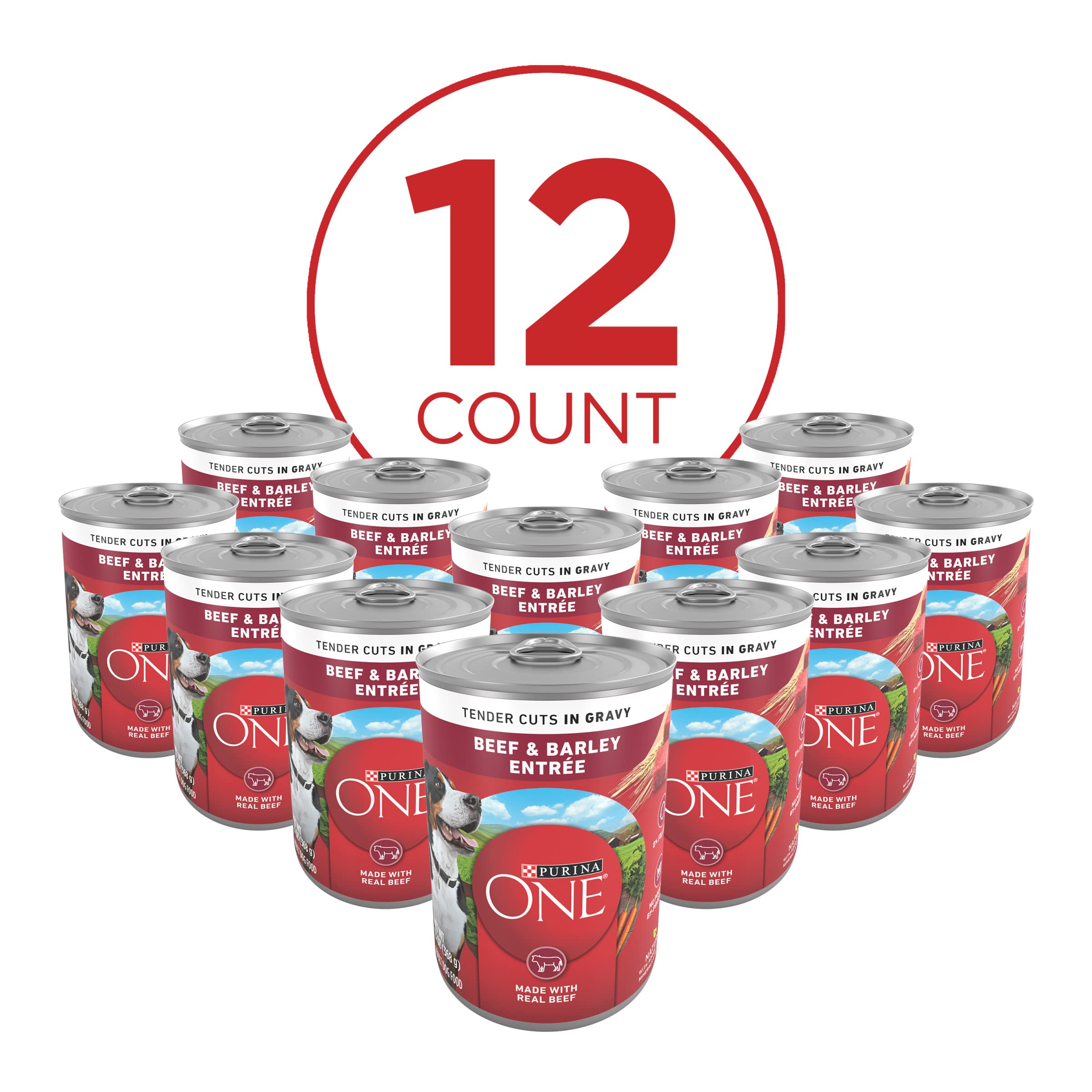 Purina ONE tender cuts in gravy showcasing moist texture that dogs love.