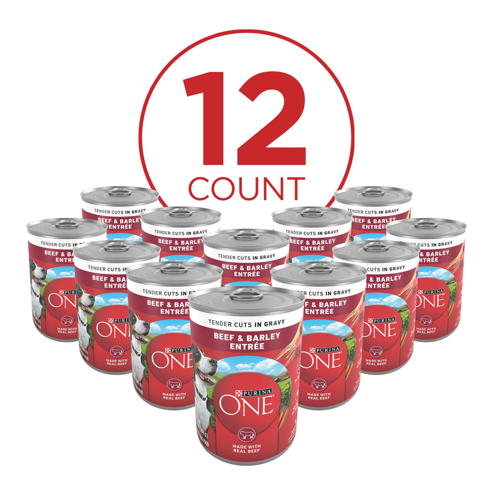 Purina ONE tender cuts in gravy showcasing moist texture that dogs love.
