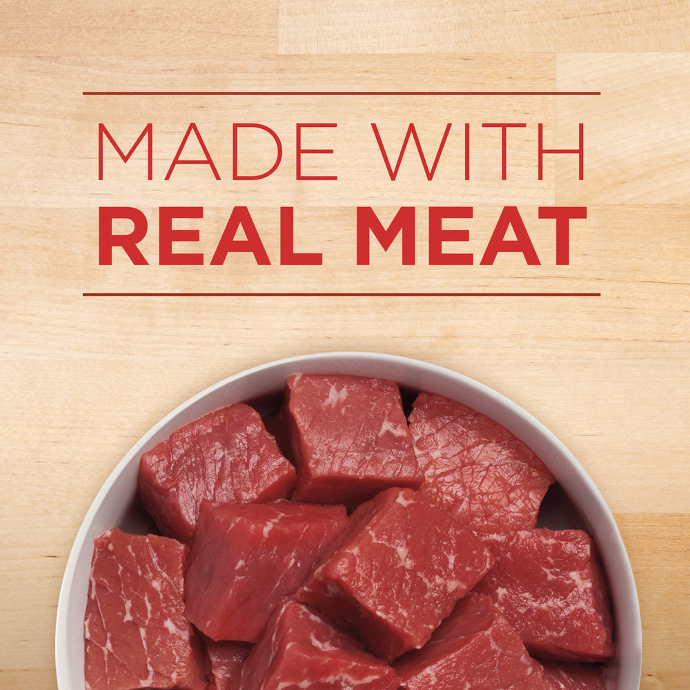Purina ONE bowl served scene emphasizes complete and balanced nutrition.