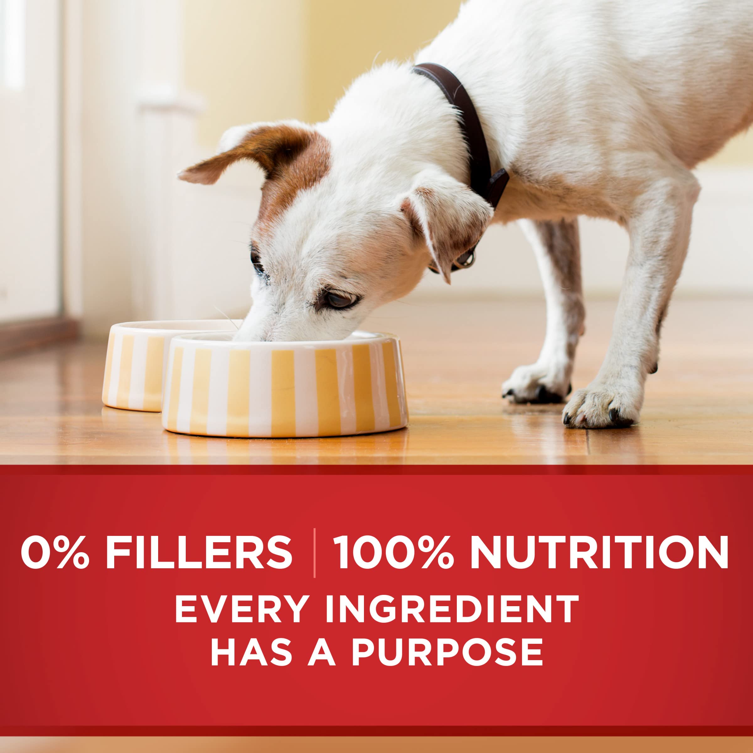 Purina ONE packaging suggests meat-forward formula in gravy.