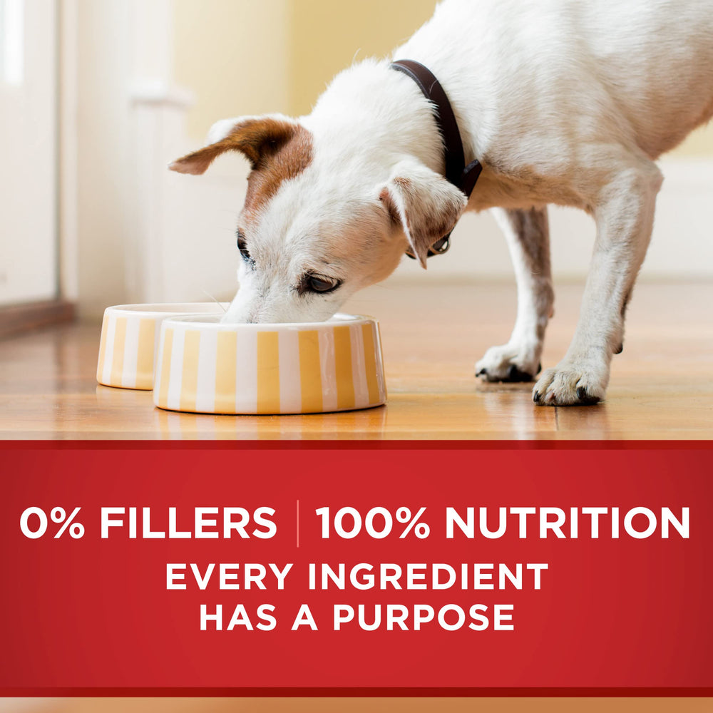 Purina ONE packaging suggests meat-forward formula in gravy.
