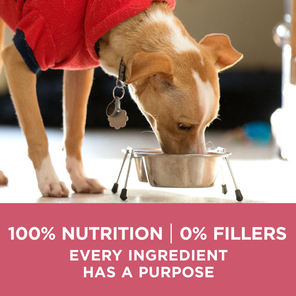 Purina ONE no-artificial-colors-preservatives pack with 0% fillers.