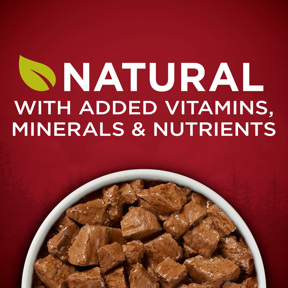 Purina ONE no artificial flavors or preservatives in this wet dog food