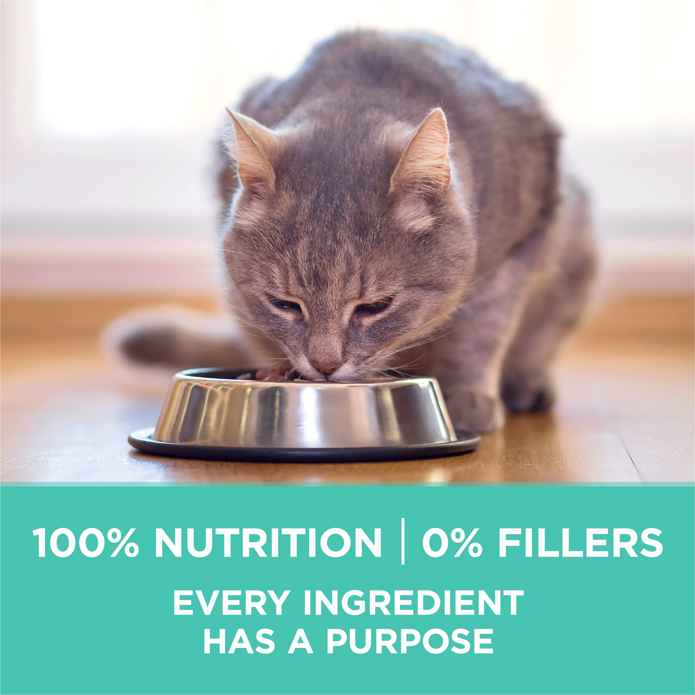 Purina ONE contains no artificial flavors or preservatives.