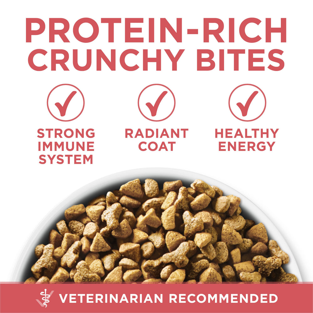 Purina ONE no artificial flavors or preservatives on the label.