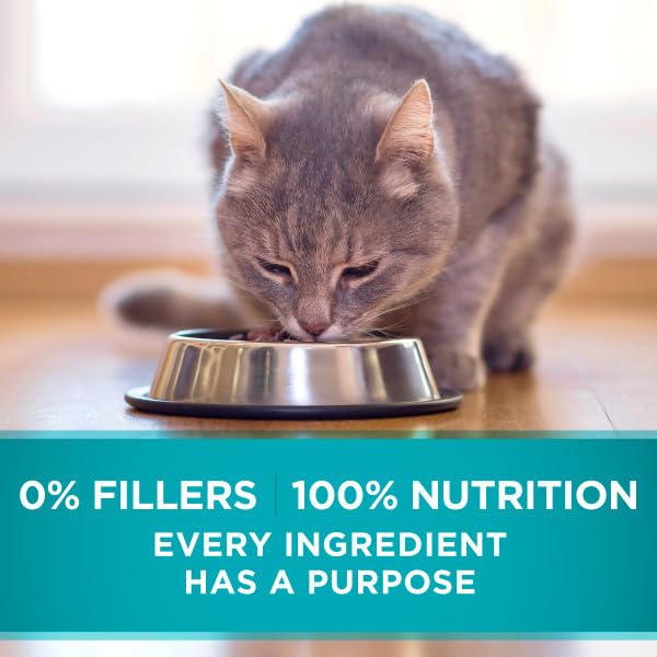 Purina ONE no fillers soy corn wheat potato claim on packaging