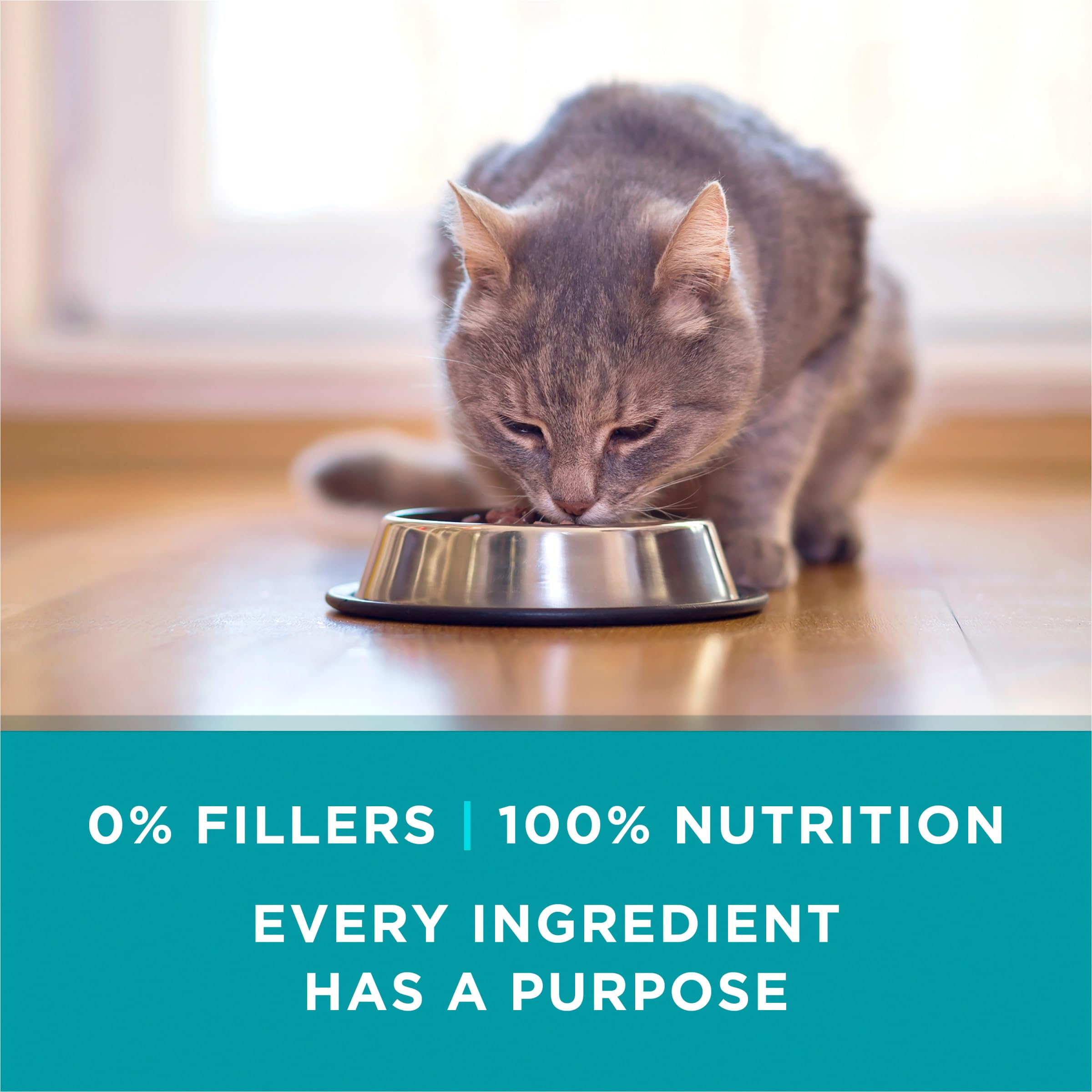 Purina ONE nutrition panel closeup lists added vitamins and minerals.