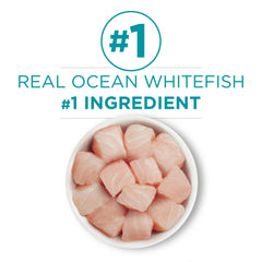 Purina ONE Ocean Whitefish Pate served in a bowl, appealing texture for all life stages.