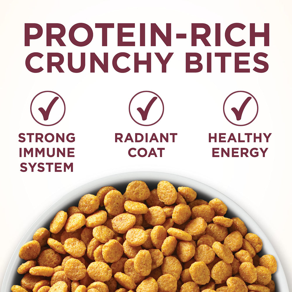 Purina ONE Omega-6 fatty acids nourish skin and coat.