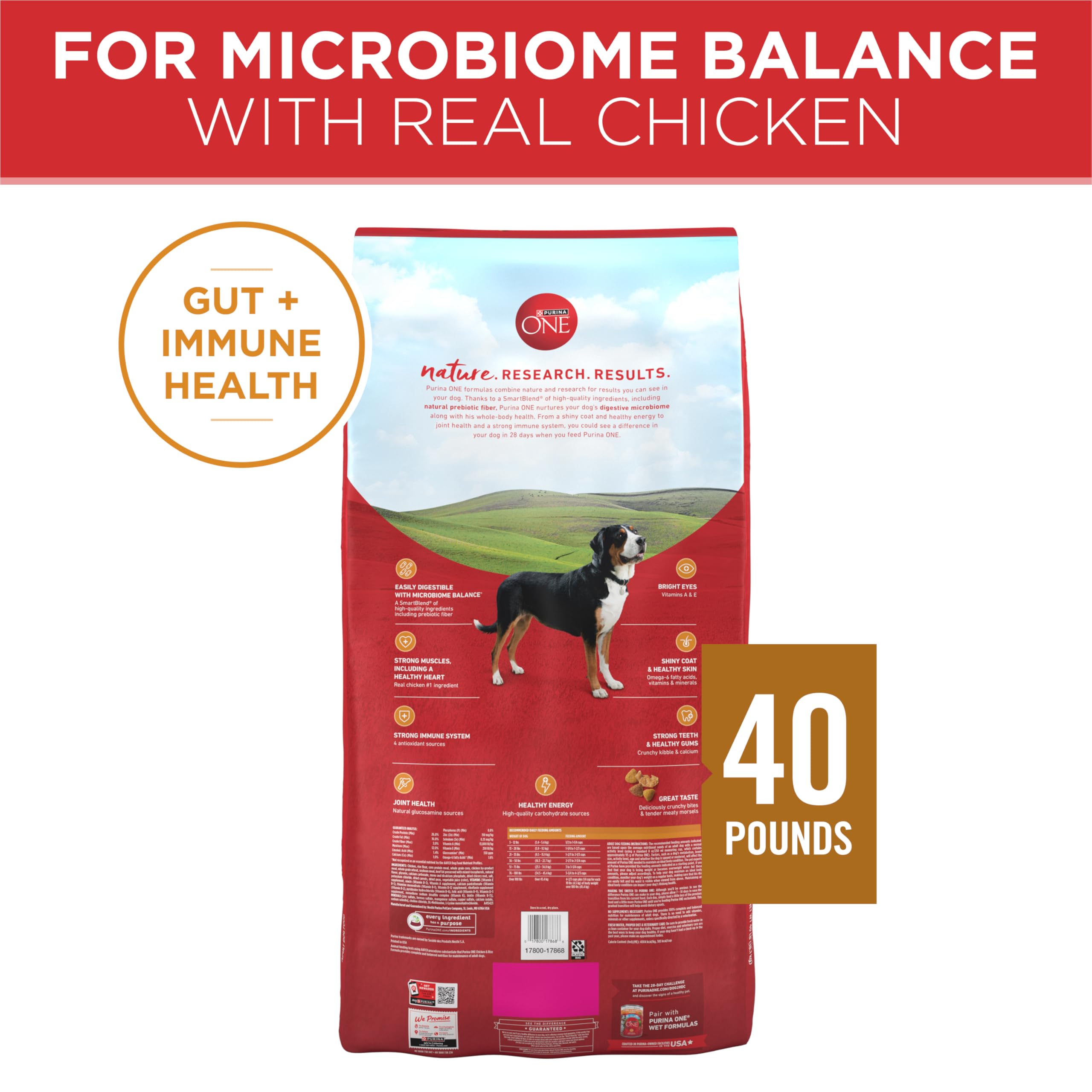 Purina ONE omega-6 for skin and coat care in enrichment imagery