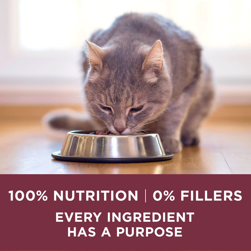 Purina ONE omega-6 for skin and coat on a cat image.