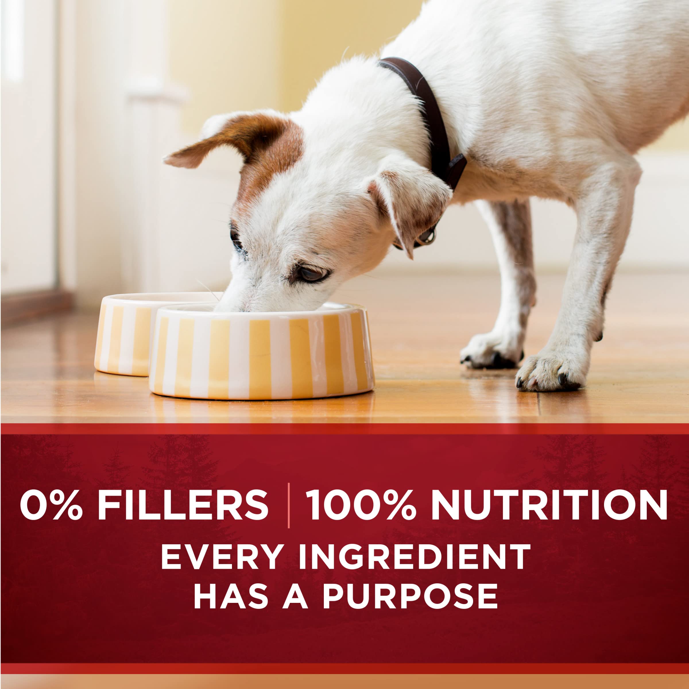 Purina ONE 12-pack of tender cuts in gravy 13oz cans