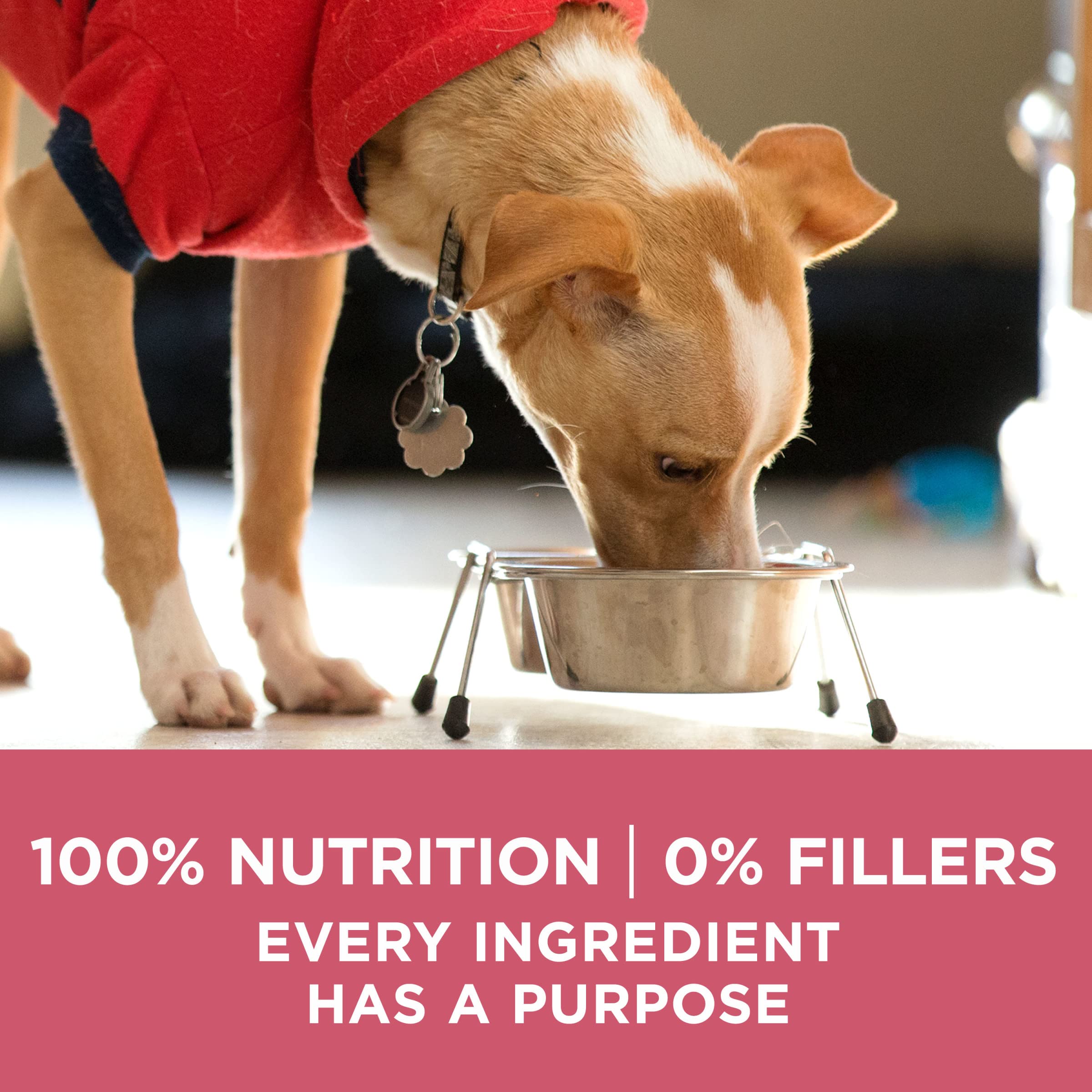 Purina ONE +Plus 0% fillers and purpose-driven ingredients.