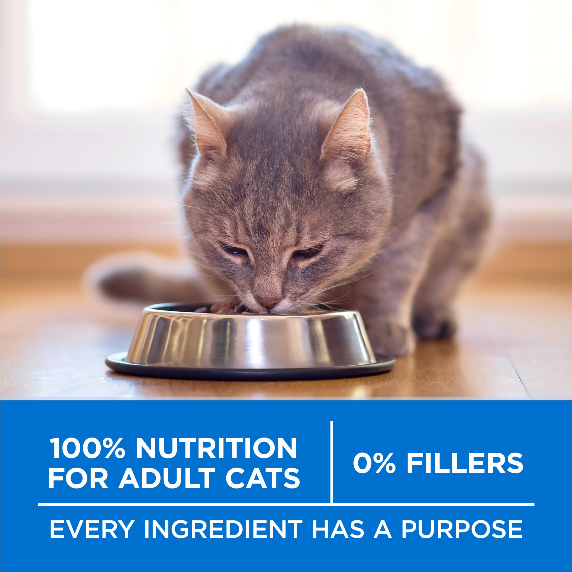 22 lb Purina ONE Plus bag designed for easy storage and feeding convenience.
