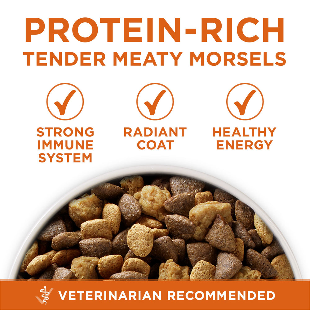 Purina ONE Plus omega-6 and minerals support healthy skin and coat.