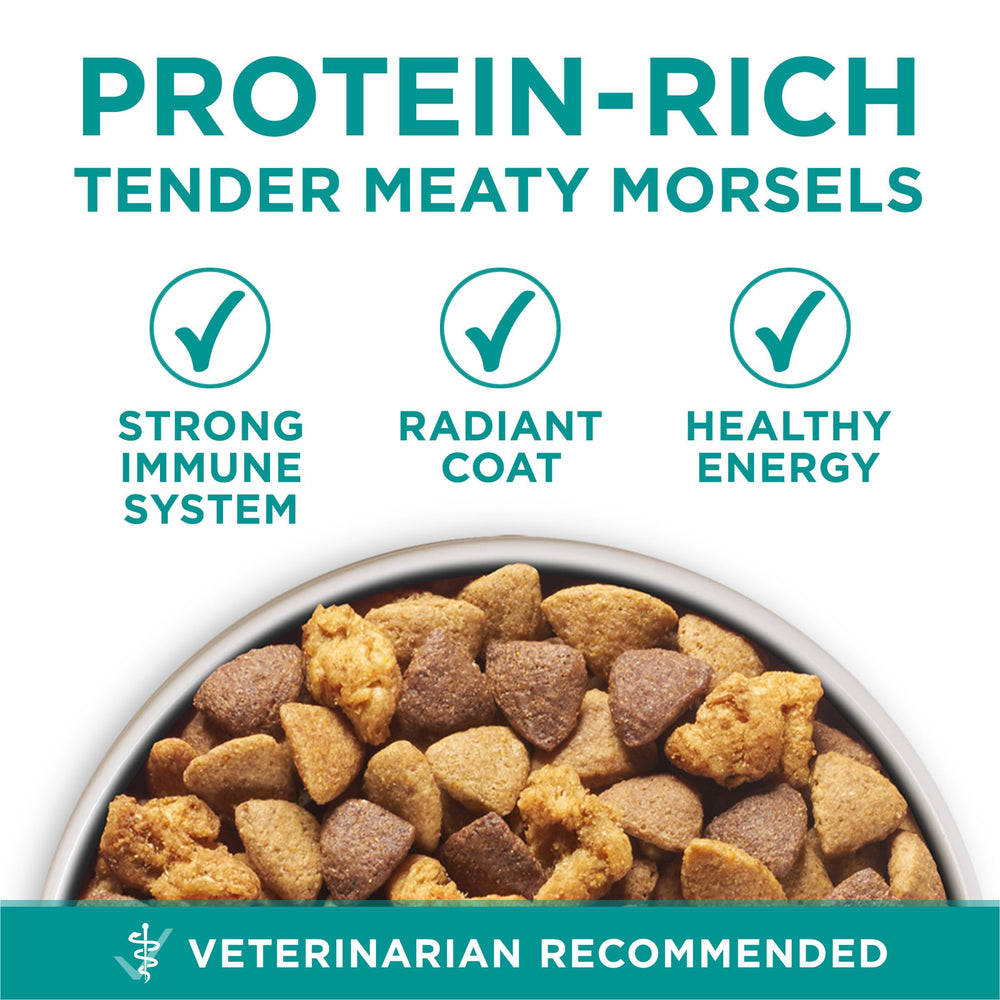 Purina ONE Plus Digestive Health antioxidants E and A support immune health