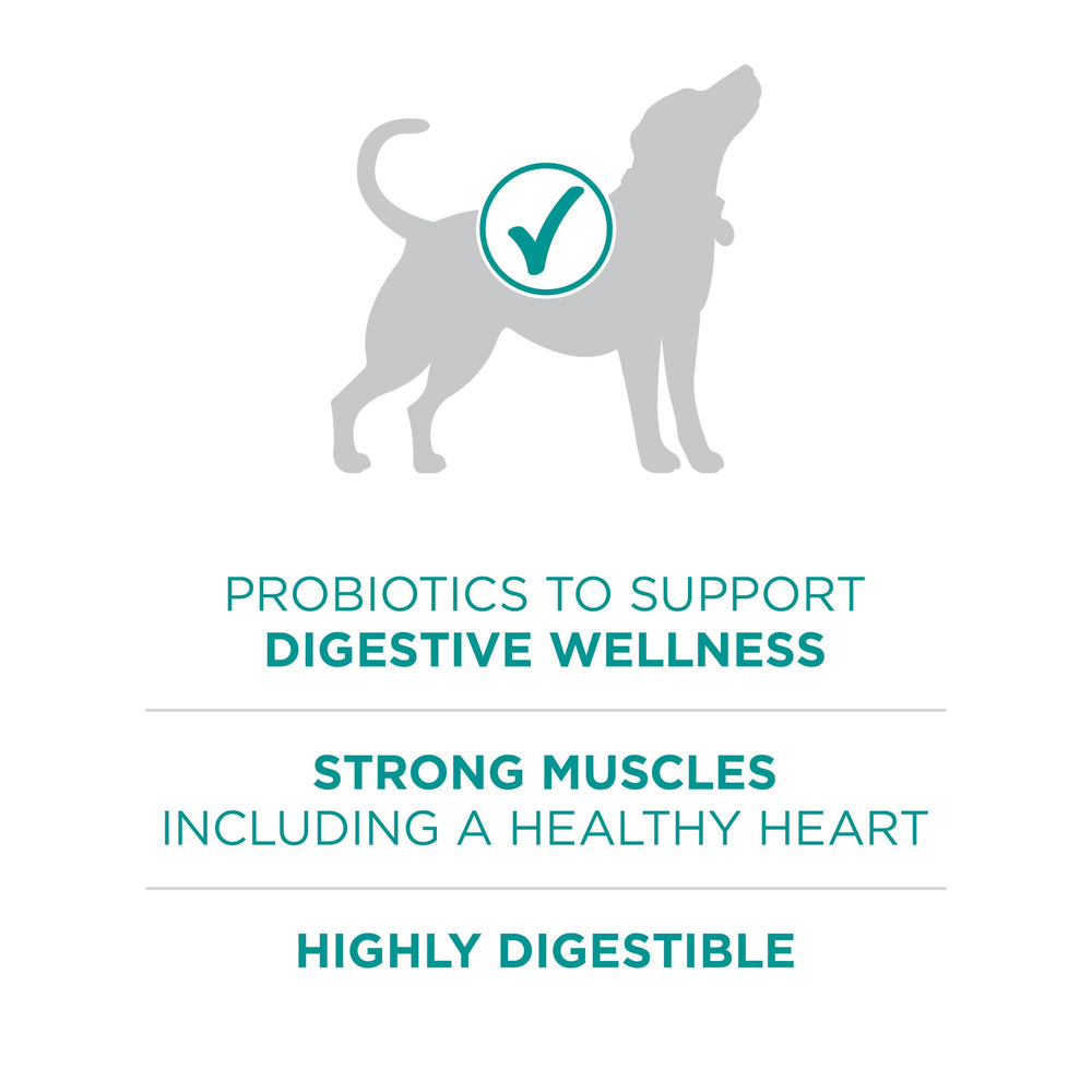 Purina ONE Plus Digestive Health with real chicken as the first ingredient.
