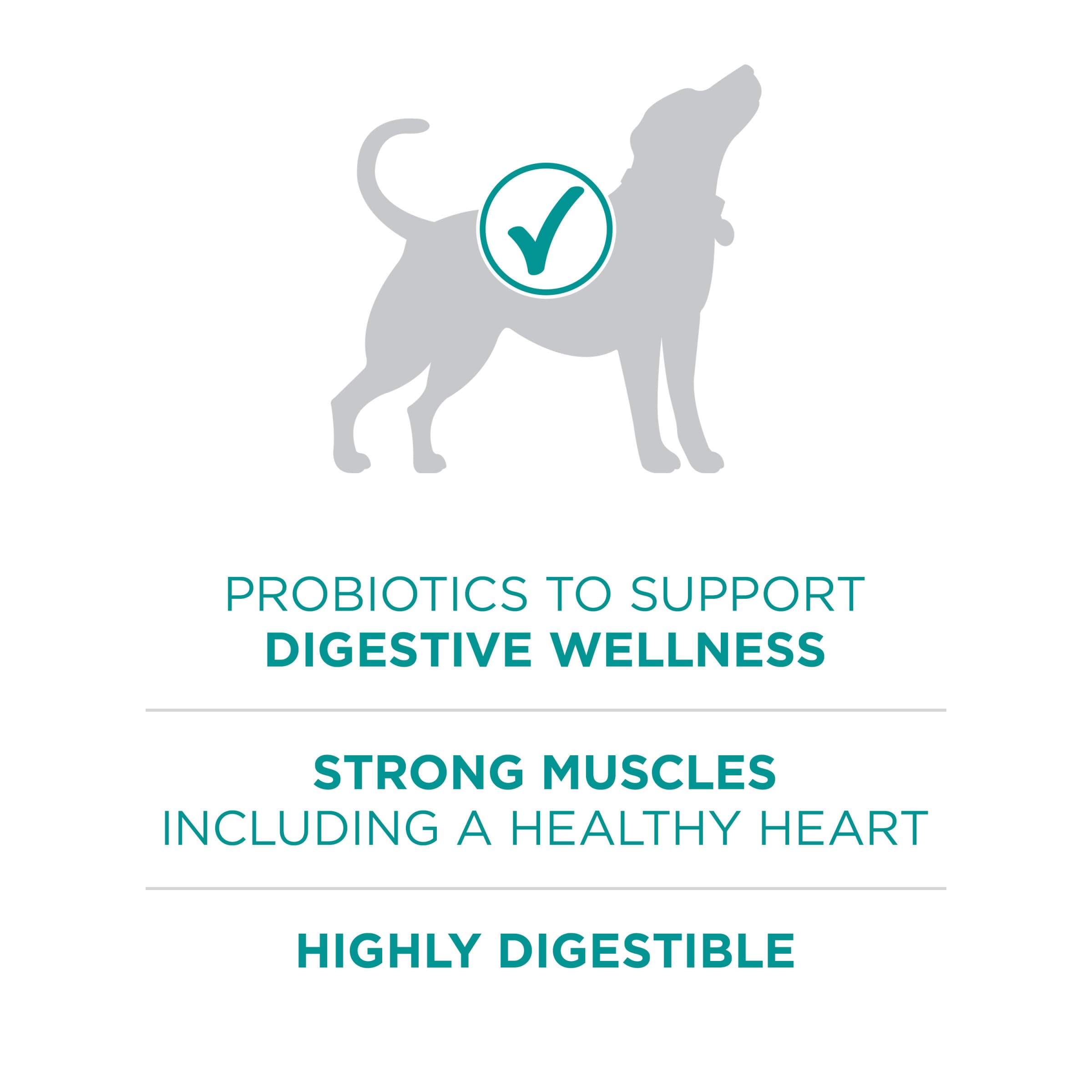 Purina ONE Plus Digestive Health real chicken first ingredient supports lean muscle