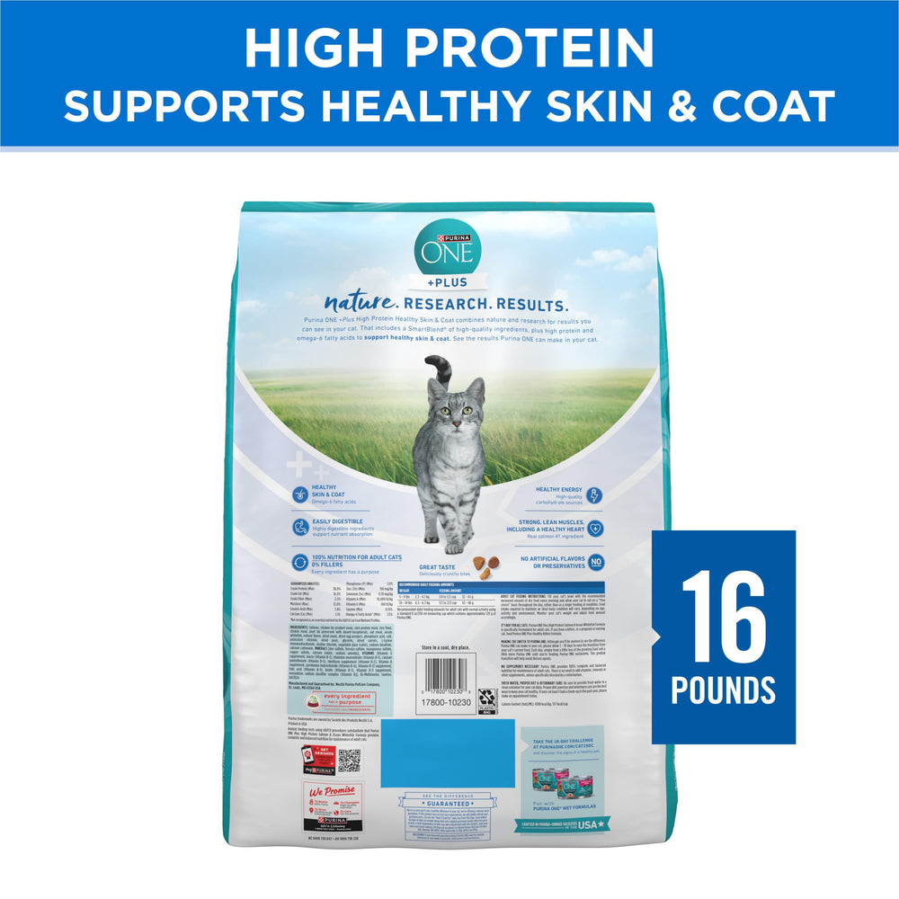 Purina ONE Plus feeding time moment with a happy cat