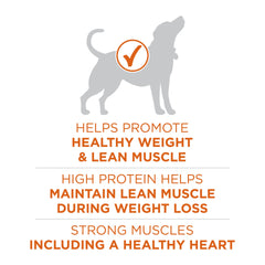 Purina ONE Plus four-antioxidant blend may support immune system in dogs.