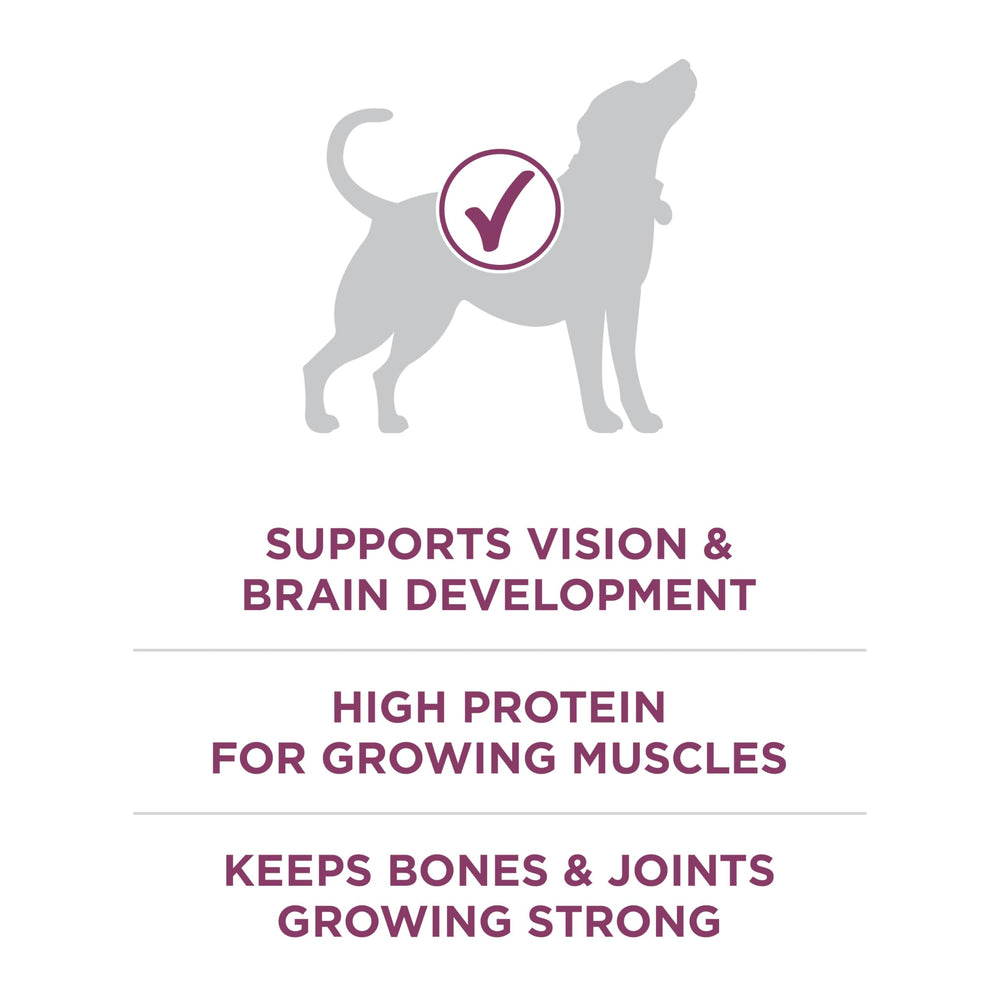 Purina ONE Plus Healthy Puppy four antioxidants bolster immune support