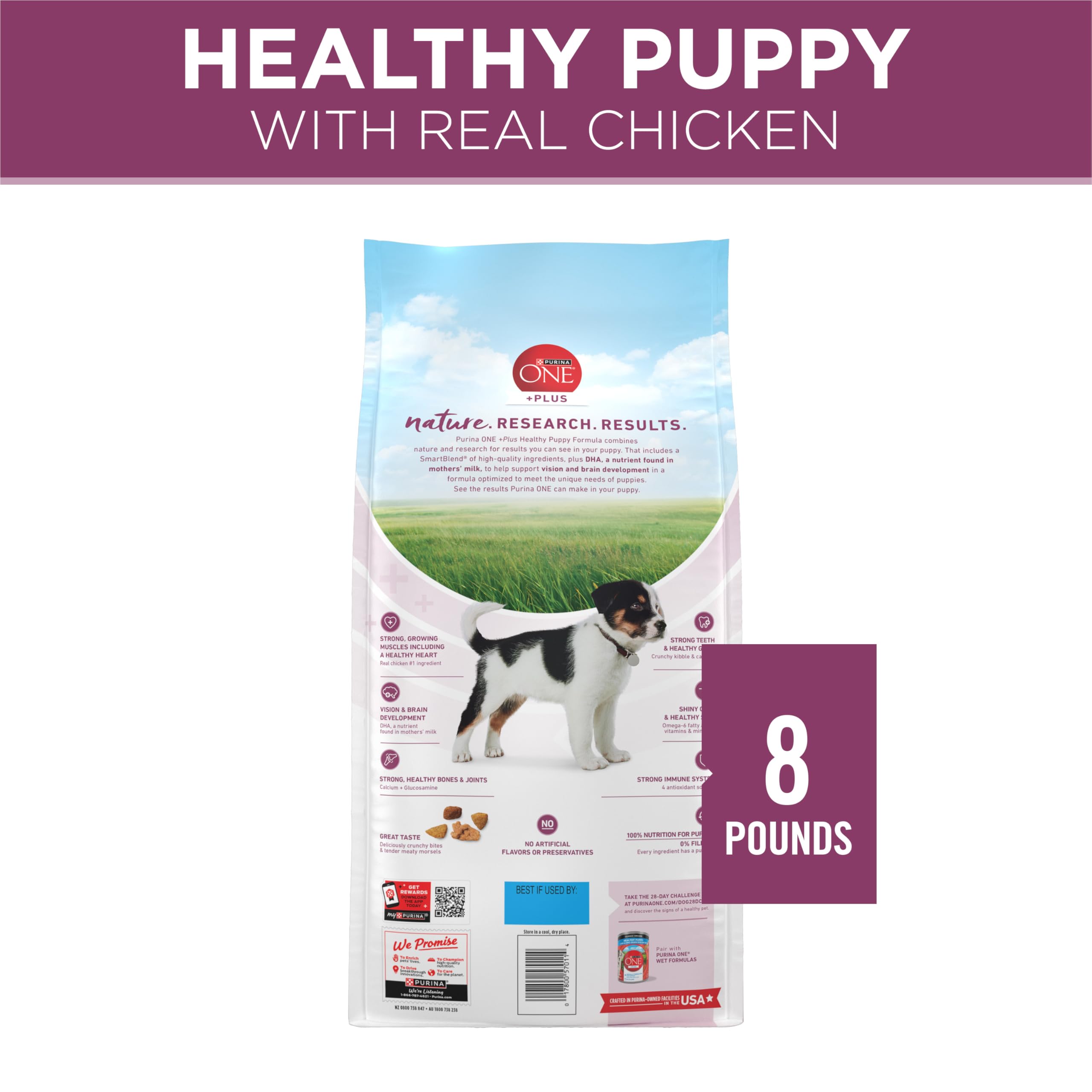 Purina ONE Plus Healthy Puppy formula bag pouring into bowl signals everyday feeding.
