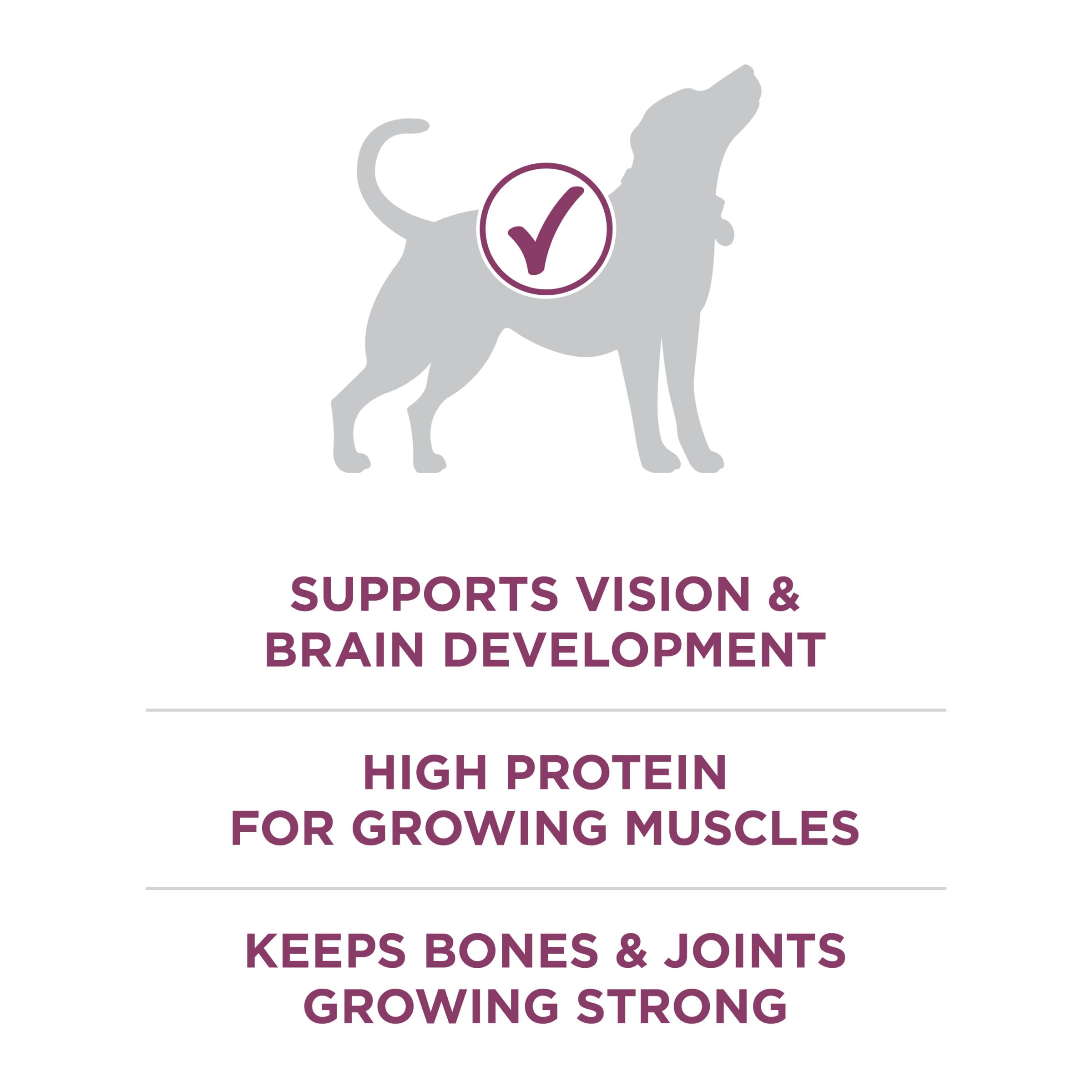 Purina ONE Plus Healthy Puppy DHA emphasis for brain and vision support.