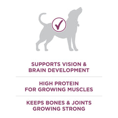 Purina ONE Plus Healthy Puppy DHA emphasis for brain and vision support.