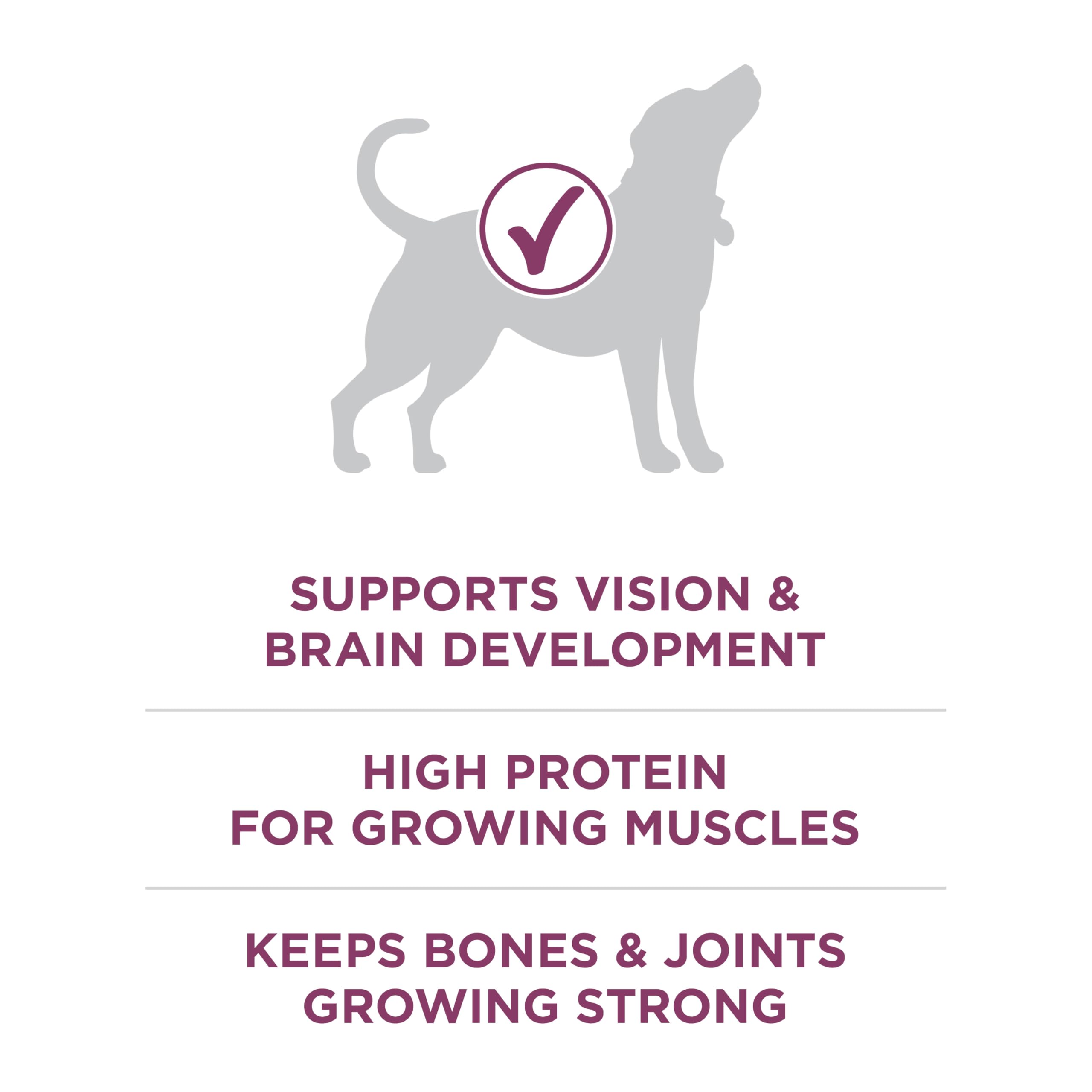 Purina ONE Plus Healthy Puppy Formula bowl with kibble demonstrates balanced nutrition for energy.