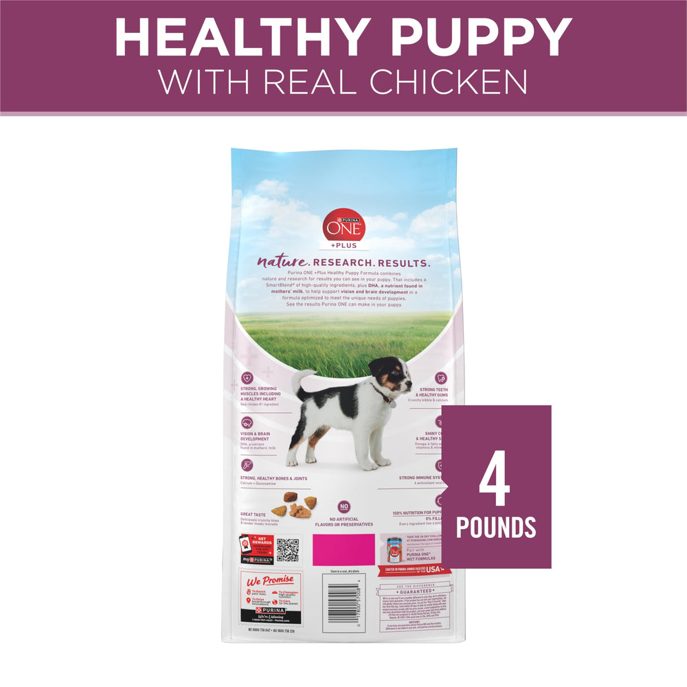 Purina ONE Plus Healthy Puppy 4 lb bag in pantry ready for growth.
