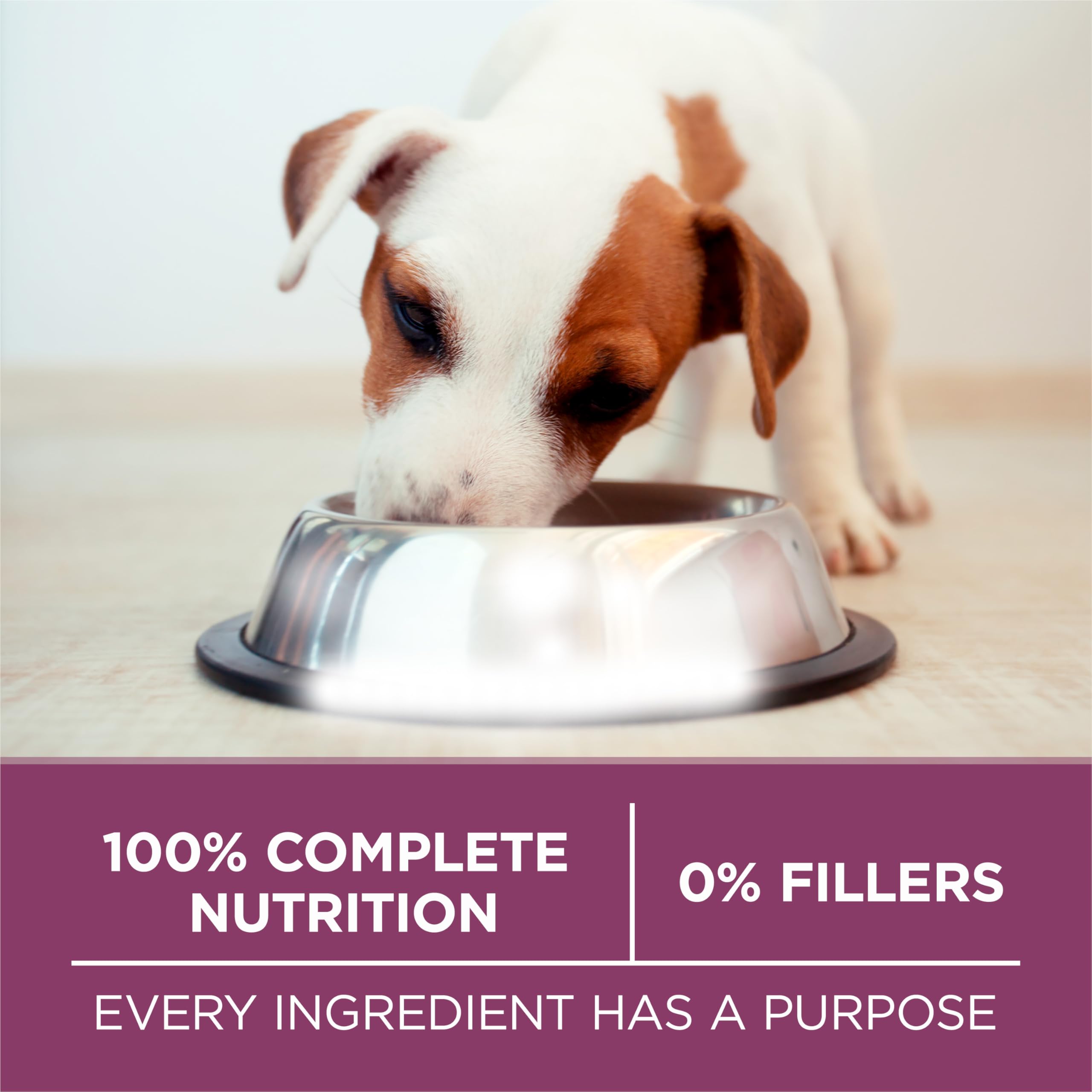 Purina ONE Plus Healthy Puppy contains omega-6 for coat shine