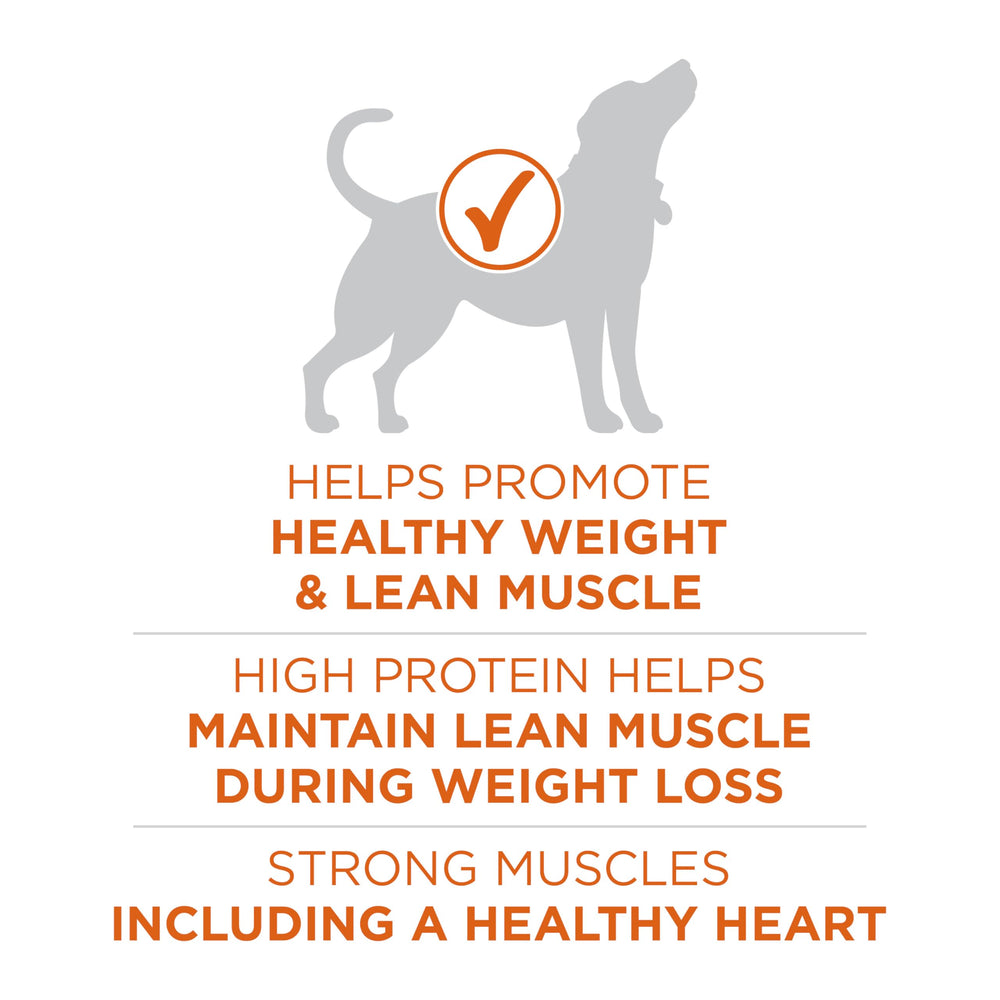 Purina ONE Plus Healthy Weight real turkey ingredient highlights protein rich nutrition for active dogs.