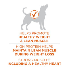 Purina ONE Plus Healthy Weight real turkey ingredient highlights protein rich nutrition for active dogs.