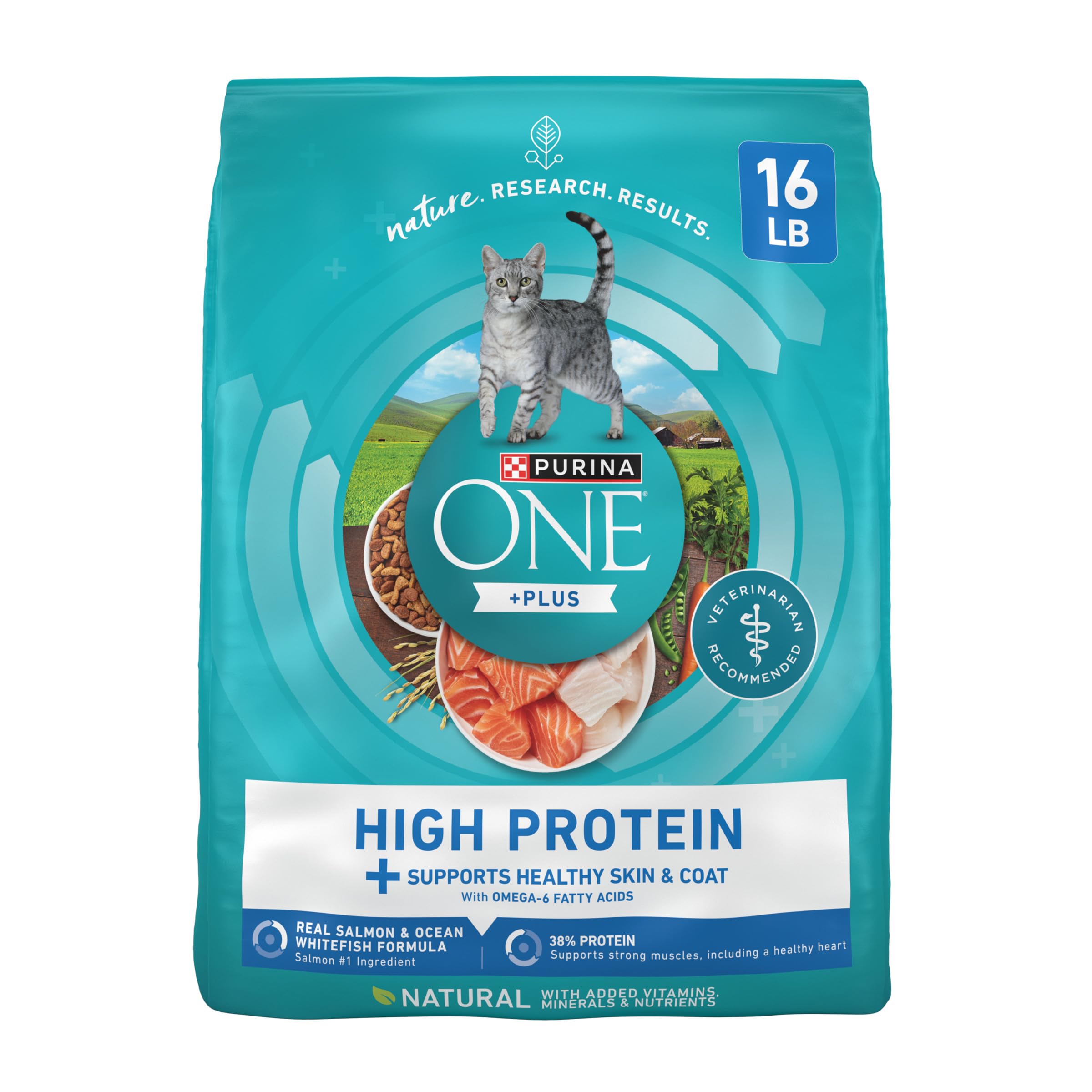 Purina ONE Plus high protein cat food bag front featuring real salmon and ocean whitefish