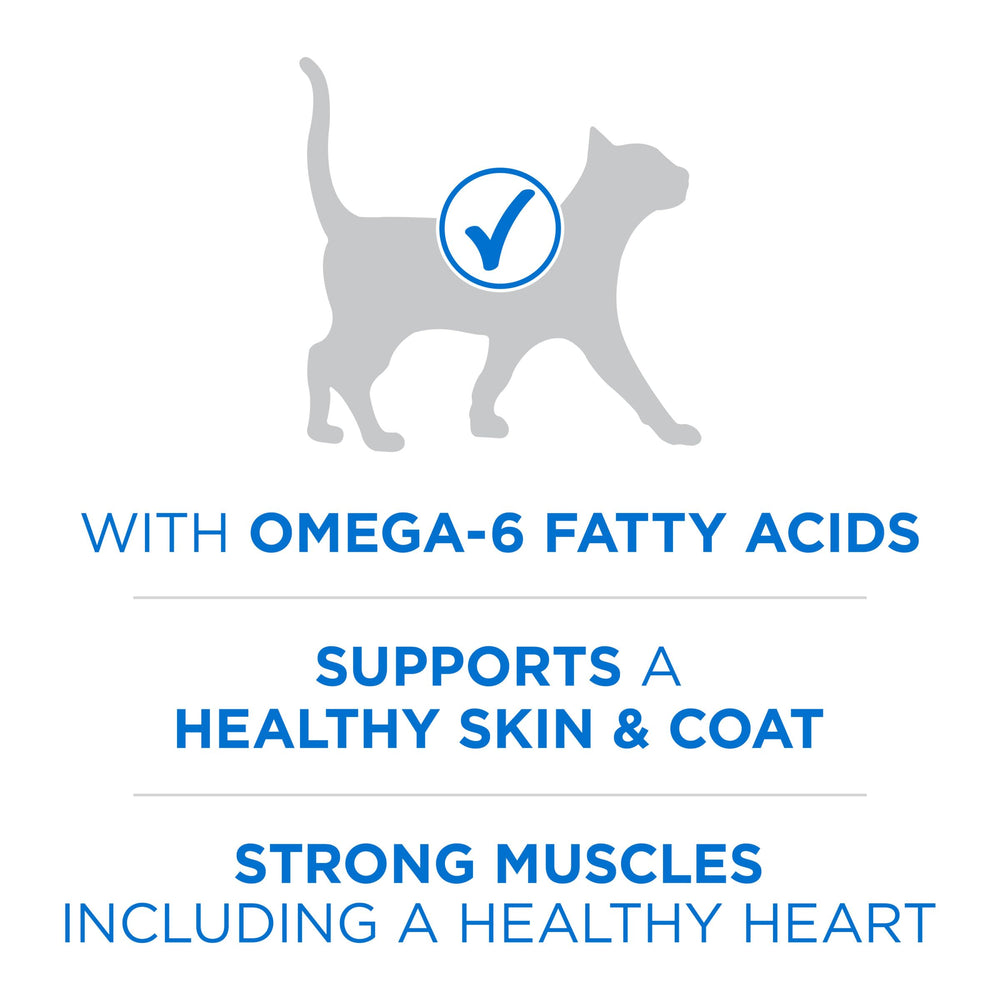 Purina ONE Plus kibble closeup—crunchy texture cats love at mealtime.