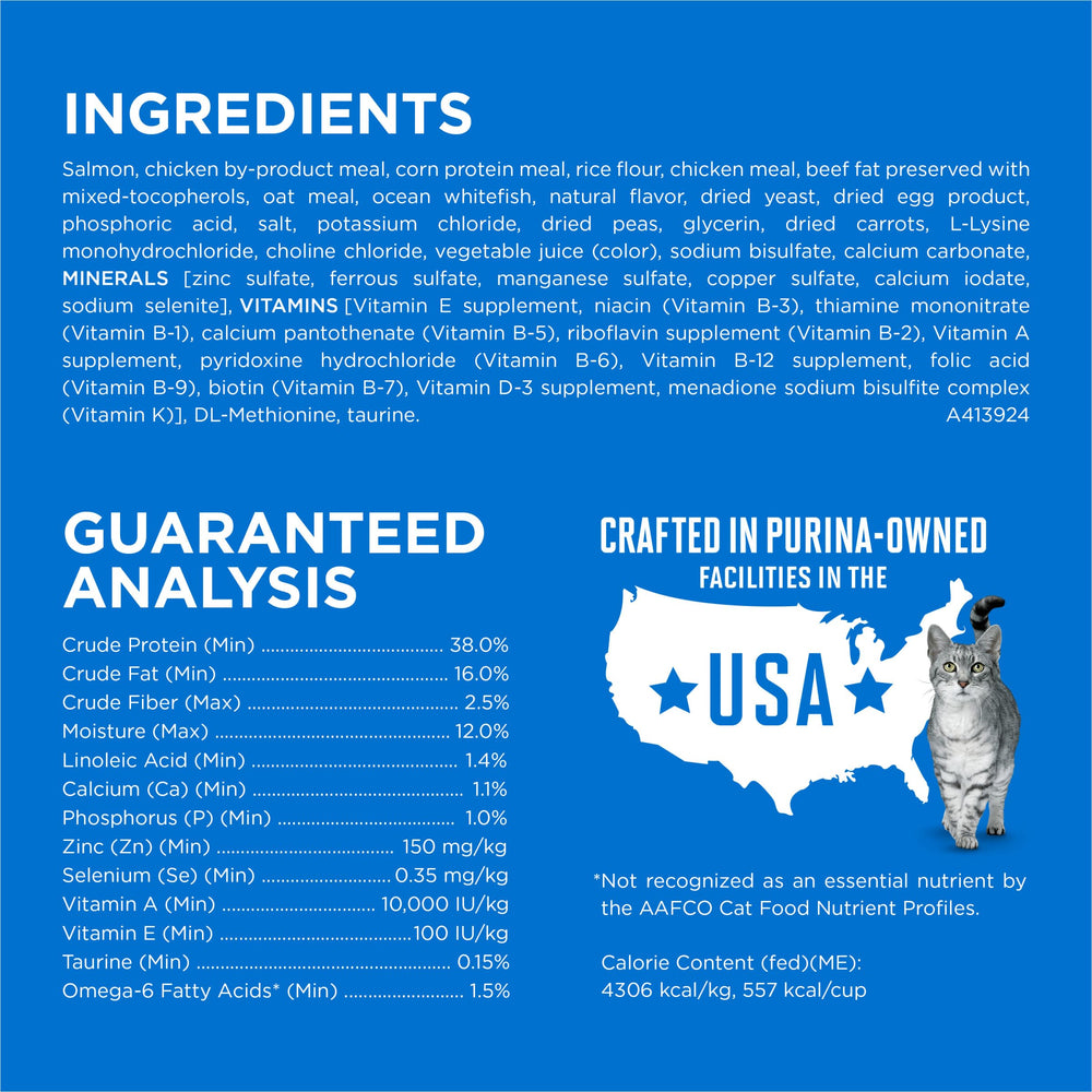 Purina ONE Plus serving bowl—ready-to-serve kibble for easy feeding.