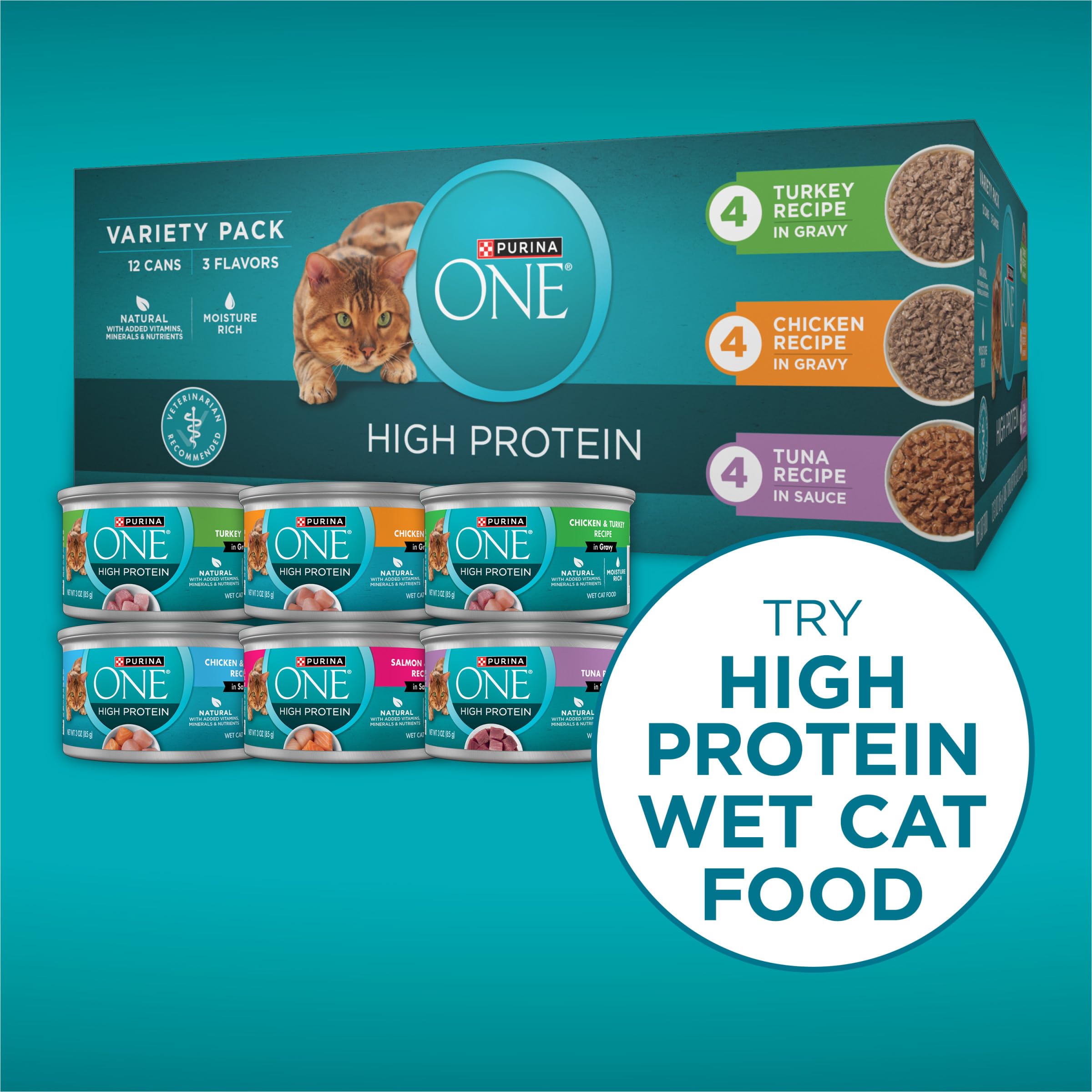 Purina ONE Plus skin coat benefits—omega-6 rich formula for healthy fur.