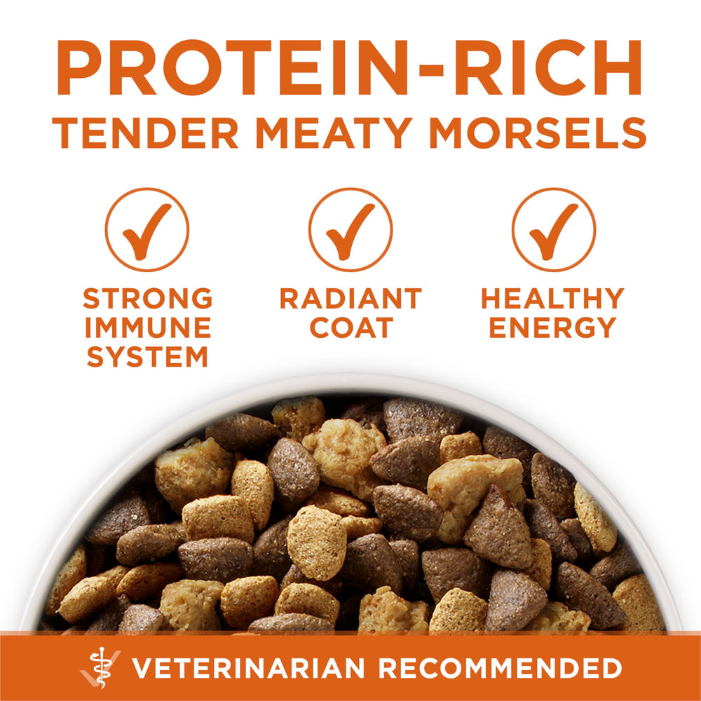 Purina ONE +Plus joint-health formula with glucosamine supports comfortable movement.