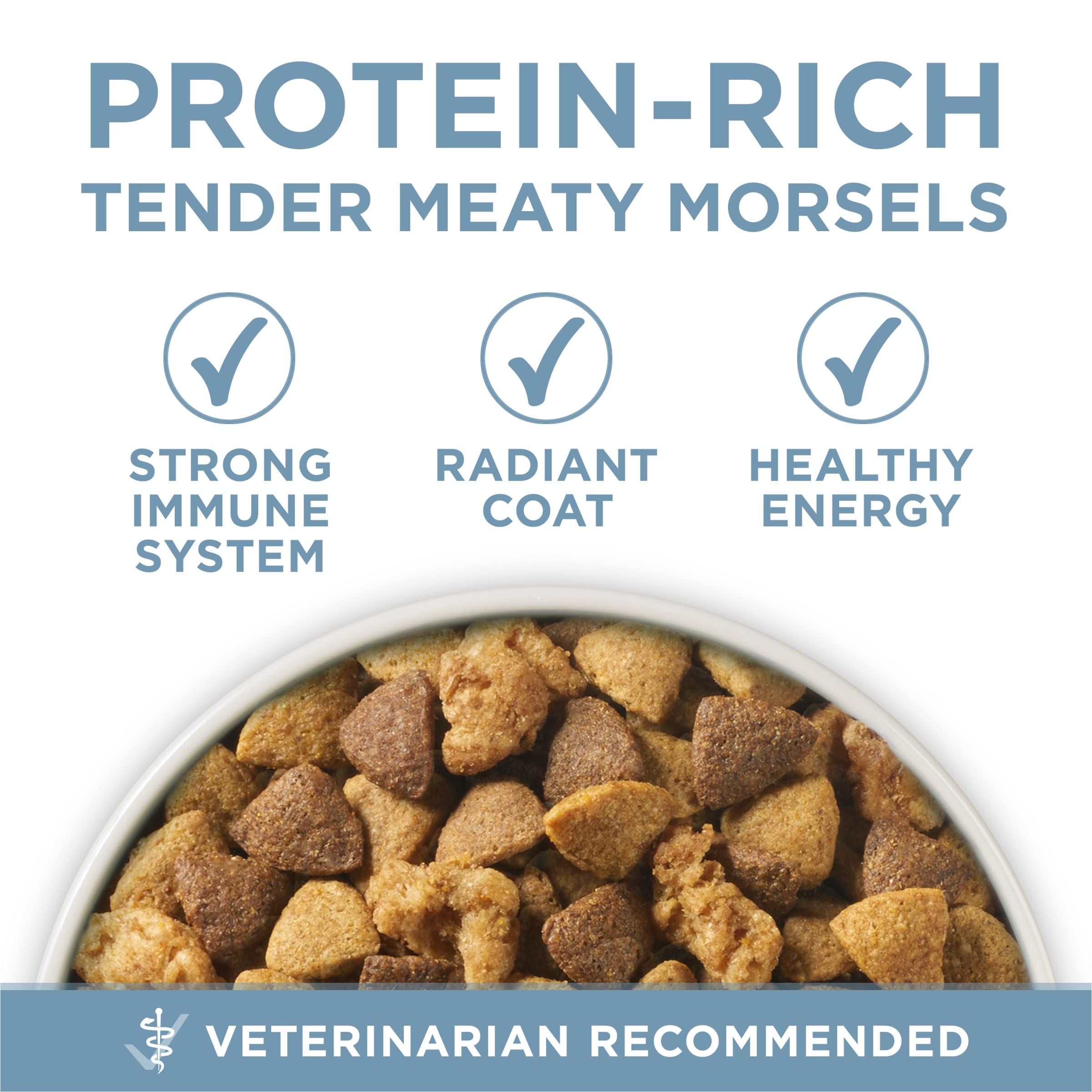Purina ONE Plus Joint Health antioxidants support immune system