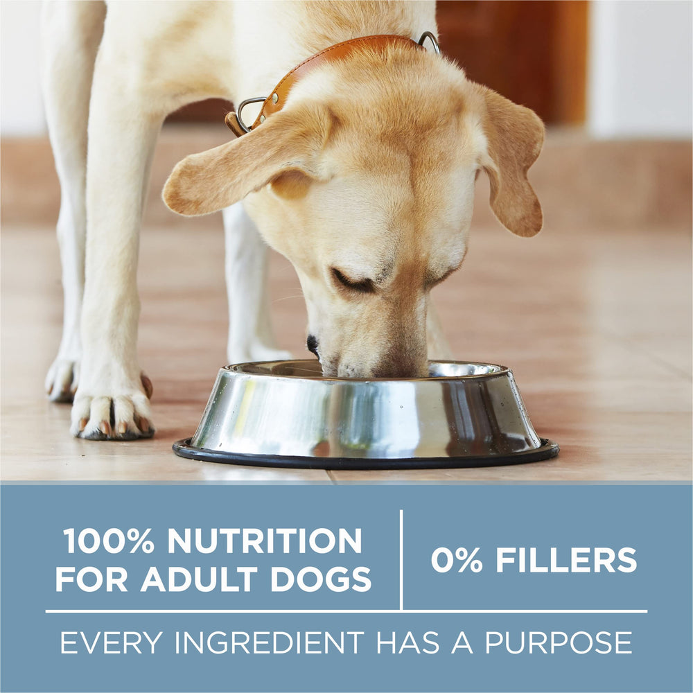 Purina ONE Plus Joint Health branding signals veterinarian-recommended care.
