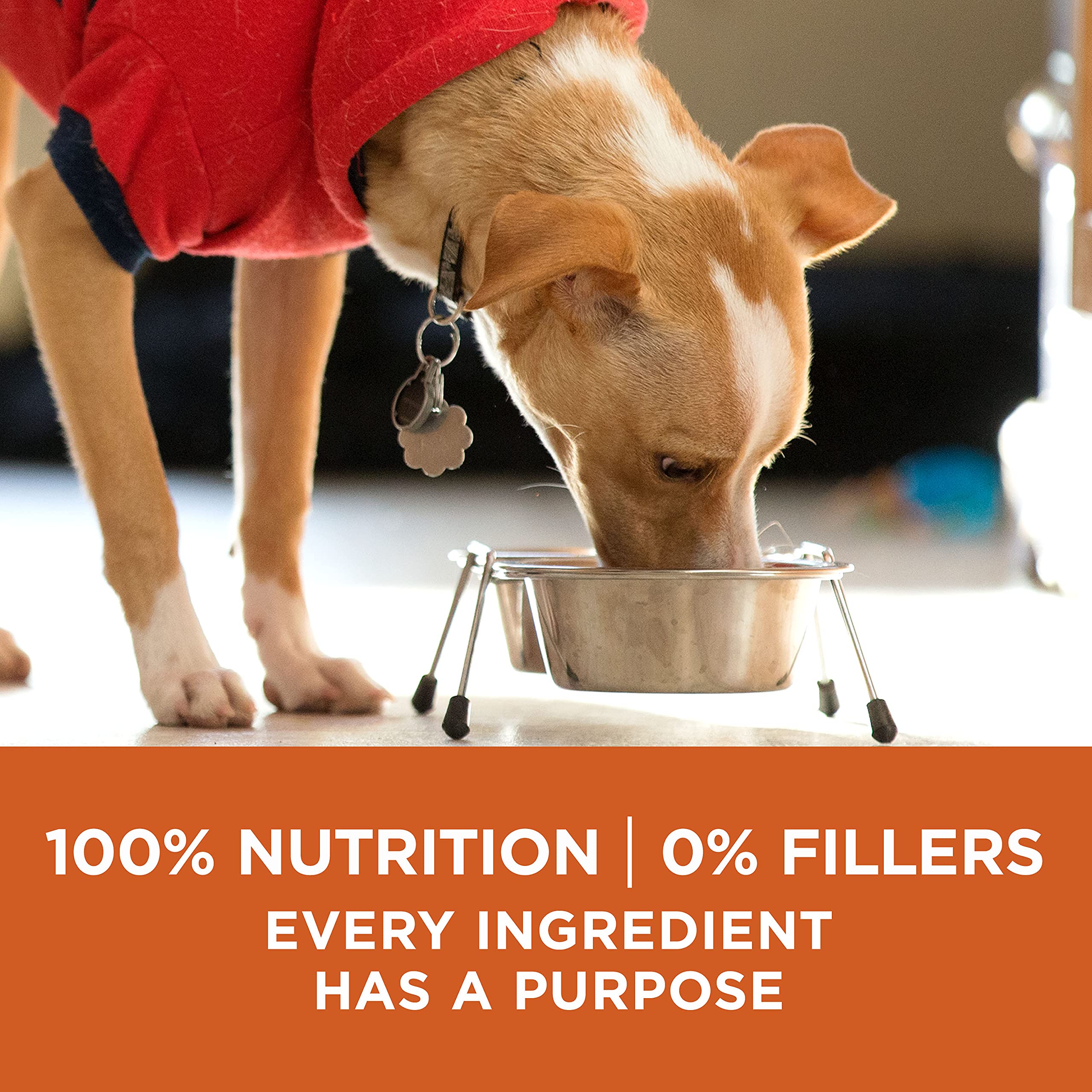 Purina ONE +Plus kibble texture with crunchy bites for dental health.