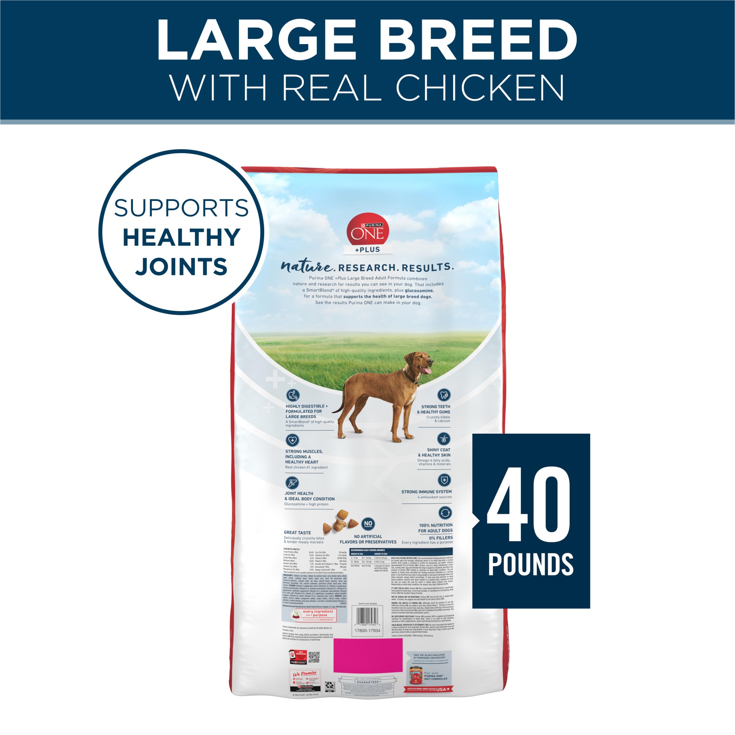 Purina ONE Plus Large Breed kibble with crunchy bites and tender morsels