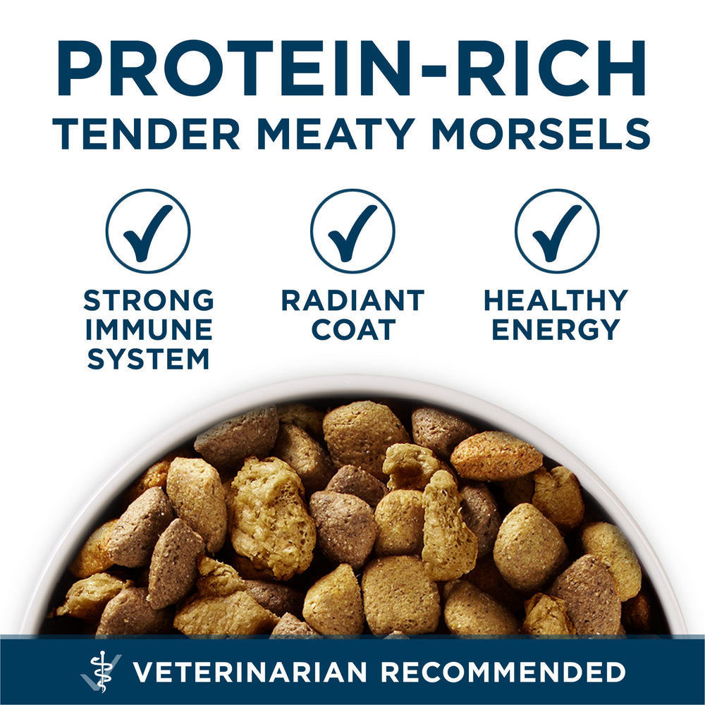 Purina ONE Plus Large Breed contains no artificial flavors or preservatives